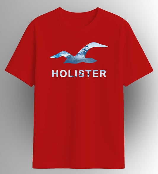 Hollister t-shirt
